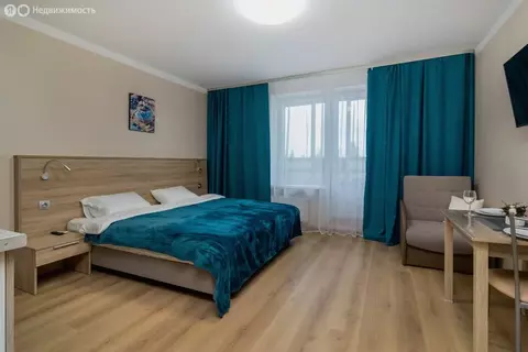 Квартира-студия: посёлок Песочный, Садовая улица, 81 (25.7 м)