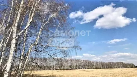 Участок в Рязанская область, Рязанский муниципальный округ, д. ...