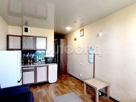 1-к кв. Новосибирская область, Новосибирск ул. Виктора Уса, 15 (19.7 ...