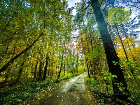 Дом в Московская область, Раменский муниципальный округ, Полянка СНТ ...
