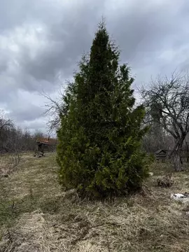 Участок в Владимирская область, Собинский район, Толпуховское ...
