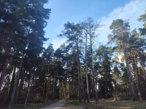 Участок в Московская область, Раменский муниципальный округ, д. ...