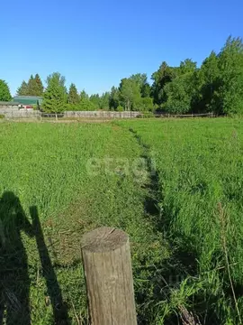 Участок в Вологодская область, д. Порошино  (12.21 сот.)