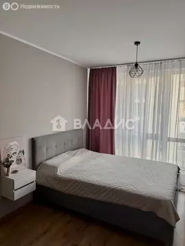 Квартира-студия: посёлок Парголово, Толубеевский проезд, 8к2 (23.3 м)