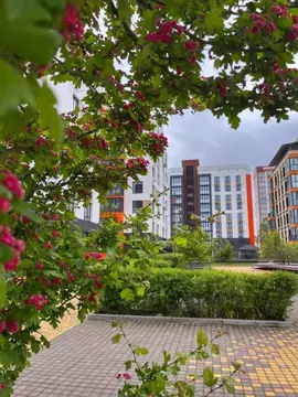 1-к кв. Брянская область, Брянск Степная ул., 20 (44.4 м)