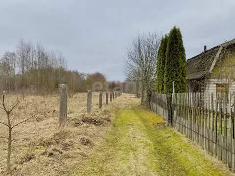 Участок в Псковская область, Печоры Вишенка садовое товарищество,  ...