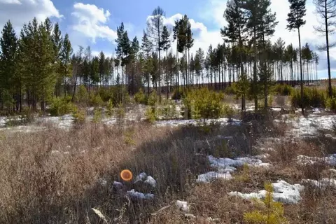 Участок в Забайкальский край, Читинский район, пос. Забайкальский  ...