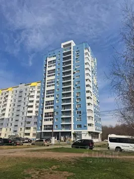 Студия Алтайский край, Барнаул Власихинская ул., 150Г (44.0 м)