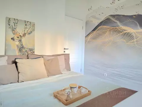 Студия Башкортостан, Уфа ул. Аксакова, 79 (26.0 м)