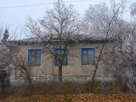 Дом в Воронежская область, Репьевский район, Краснолипьевское с/пос, ...