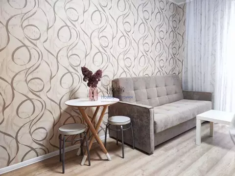 Студия Санкт-Петербург Парашютная ул., 34 (22.0 м)