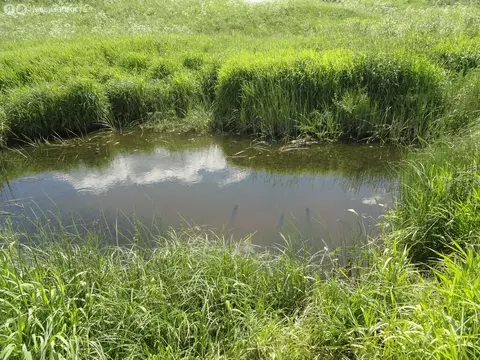 Участок в Ярославская область, Мышкинский муниципальный округ, деревня ...