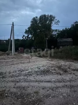 Участок в Амурская область, Благовещенский район, с. Чигири ул. ...