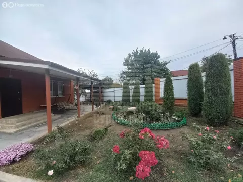 Дом в Неклиновский район, село Николаевка (75 м)