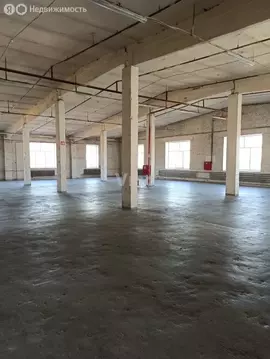 Помещение свободного назначения (594.8 м)