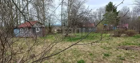 Участок в Вологодская область, д. Княгинино (Подлесный сельсовет)  ...