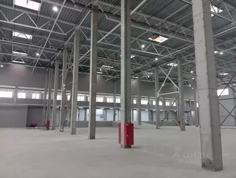 Склад в Московская область, Раменское ул. Михалевича, 49 (5300 м)