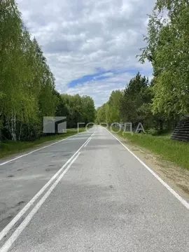 Участок в Новосибирская область, Новосибирский район, Кубовинский ...