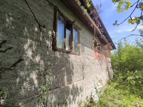 Дом в Воронежская область, Борисоглебский городской округ, с. Чигорак ...