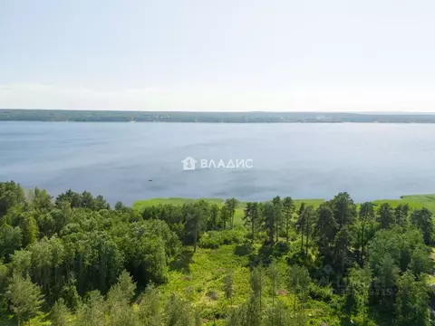 Участок в Ленинградская область, Приозерский район, Громовское с/пос, ...