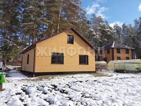 Коттедж в Новосибирская область, Новосибирский район, Кубовинский ...