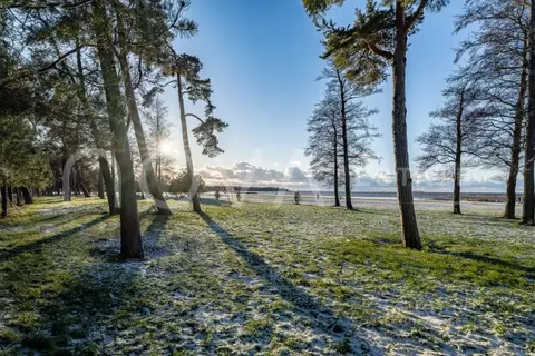 Участок в Санкт-Петербург, Санкт-Петербург, Сестрорецк Пляжная ул., 12 ...