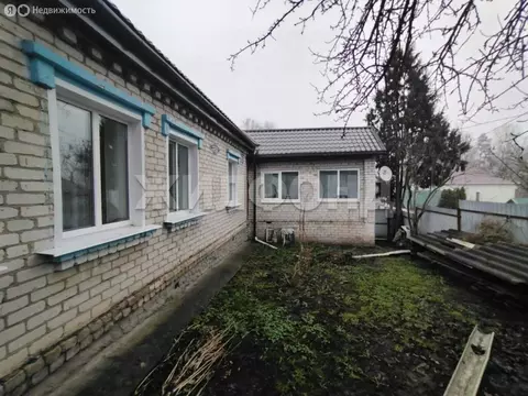 Дом в Мичуринский, Северная улица (57.3 м)