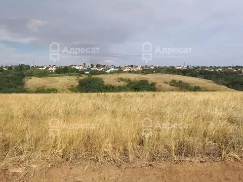 Участок в Волгоградская область, Городищенский район, Царицынское ...