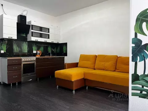 Студия Санкт-Петербург просп. Буденного, 23к1 (25.0 м)