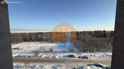 1к в 8-комнатной квартире (12.8 м)