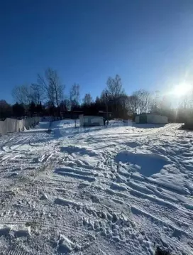 Участок в Калужская область, Боровский муниципальный округ, д. Сатино ...