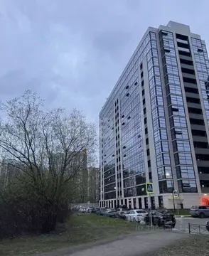 Студия Санкт-Петербург Пулковское ш., 14Д (29.0 м)