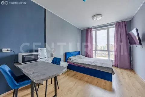 Квартира-студия: Парголово, Толубеевский проезд, 8к2 (22.8 м)