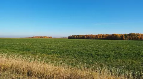 Участок в Смоленская область, Семлево ст.  (2140.0 сот.)