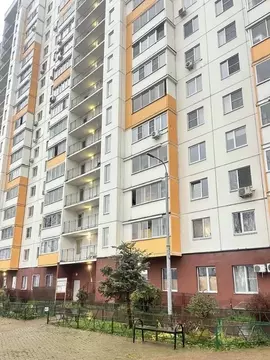 1-к кв. Московская область, Балашиха ул. Лукино, 51Б (38.6 м)