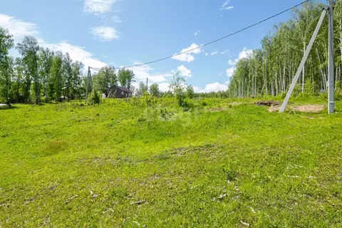 Участок в Новосибирская область, с. Новолуговое пер. Чапаева (10.0 ...