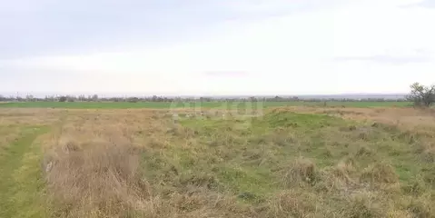 Участок в Крым, Ленинский район, с. Чистополье ул. Виноградная (6.0 ...