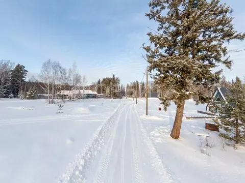 Участок в Тюменская область, Нижнетавдинский муниципальный округ, ...