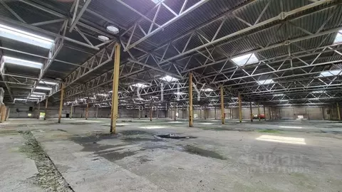 Склад в Тюменская область, Тюмень Камчатская ул., 194 (5000 м)