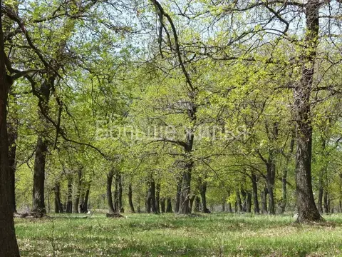 Участок в Волгоградская область, Среднеахтубинский район, Фрунзенское ...