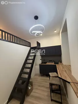 Квартира-студия: Санкт-Петербург, Клинский проспект, 21 (22 м)