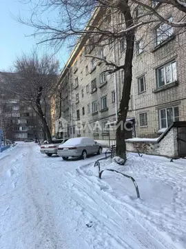 1-к кв. Алтайский край, Бийск ул. Владимира Короленко, 33 (29.0 м)