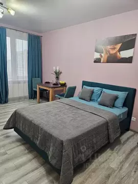 Студия Пермский край, Пермь ул. Куйбышева, 135 (33.0 м)