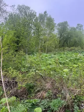 Участок в Сахалинская область, Южно-Сахалинск Родничок СНТ,  (9.0 ...