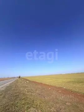 Участок в Крым, Сакский район, с. Молочное  (782.57 сот.)