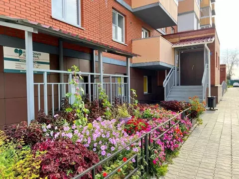 Студия Хабаровский край, Хабаровск ул. Суворова, 40/1 (26.6 м)