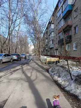 1-к кв. Московская область, Люберцы ул. Гоголя, 16 (31.0 м)