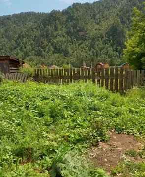 Участок в Алтай, Чемальский район, с. Чепош  (14.0 сот.)