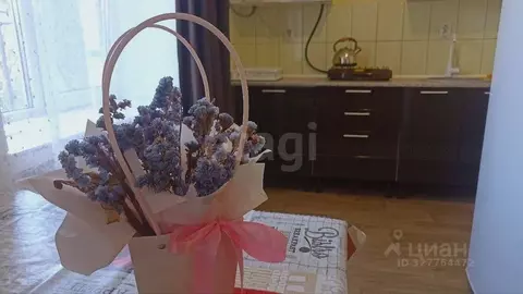 Студия Крым, Судак ул. Айвазовского, 25 (37.8 м)