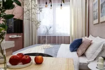 1-к кв. Иркутская область, Иркутск Депутатская ул., 87/9 (20.0 м)